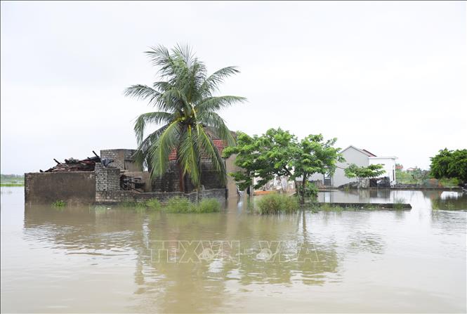 Nhà dân và công trình phụ bị nước bủa vây, gây chia cắt, cô lập giữa “biển nước”. Ảnh: Xuân Tiến - TTXVN 