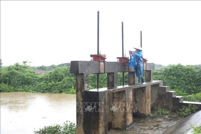 Chiều 16/9, nhiều cống trên hệ thống đê ngăn mặn tại địa bàn các xã Diễn Châu, Quỳnh Anh, Quỳnh Văn...đã được vận hành mở cửa xả để tiêu thoát nước cho vùng trũng, thấp, giảm tải tình trạng ngập lụt trên địa bàn. Ảnh: Xuân Tiến - TTXVN 
