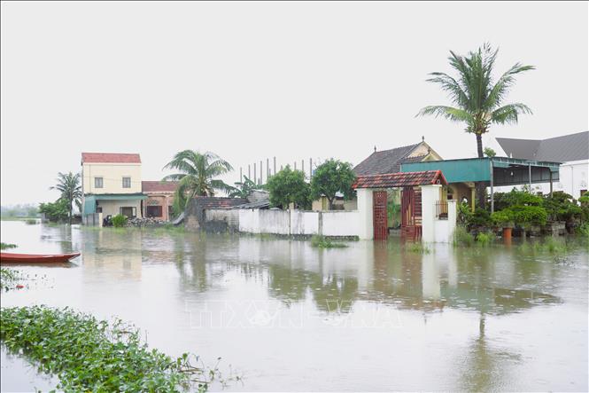 Cụm dân cư thuộc khu vực vùng trũng thấp của xã Quỳnh Anh (tỉnh Nghệ An) bị nước bủa vây, tạm thời bị cô lập do đường dân sinh bị ngập nước. Ảnh: Xuân Tiến - TTXVN 