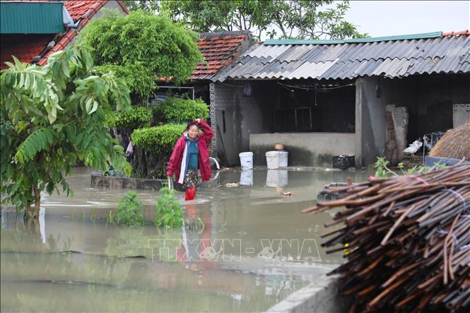  Người dân vất vả, khó nhọc khi di chuyển trong tình trạng ngập nặng. Ảnh: Xuân Tiến - TTXVN 