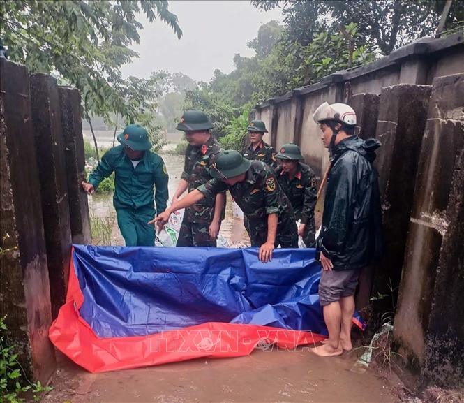 Ban quân sự Phường Hà Nam tham gia giúp dân chằng chống nhà cửa, di chuyển tài sản đến nơi an toàn, kết hợp khơi thông dòng chảy, xử lý triệt để các điểm ngập úng, gia cố các vị trí xung yếu và thực hiện nhiệm vụ cứu hộ, cứu nạn khi có yêu cầu. Ảnh: Đại Nghĩa - TTXVN