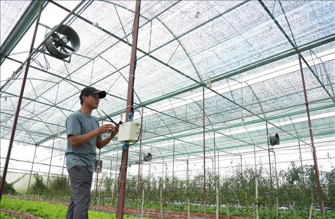 Nông dân Đà Lạt nhờ ứng dụng nông nghiệp thông minh