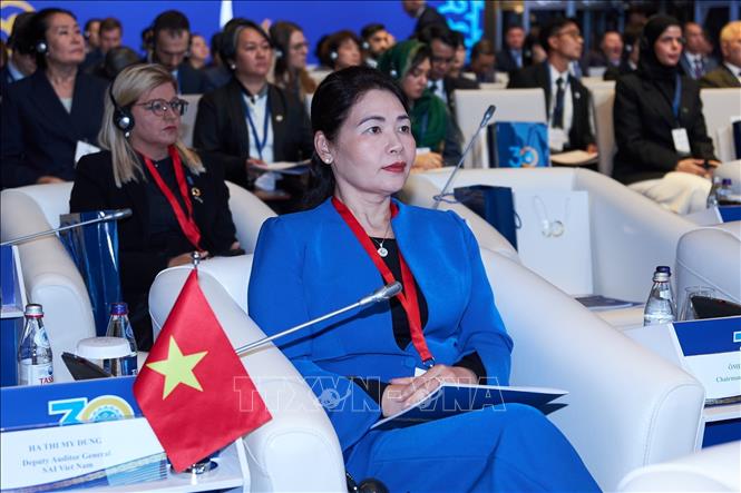 Đoàn KTNN Việt Nam tham gia Hội thảo quốc tế. Ảnh: TTXVN phát