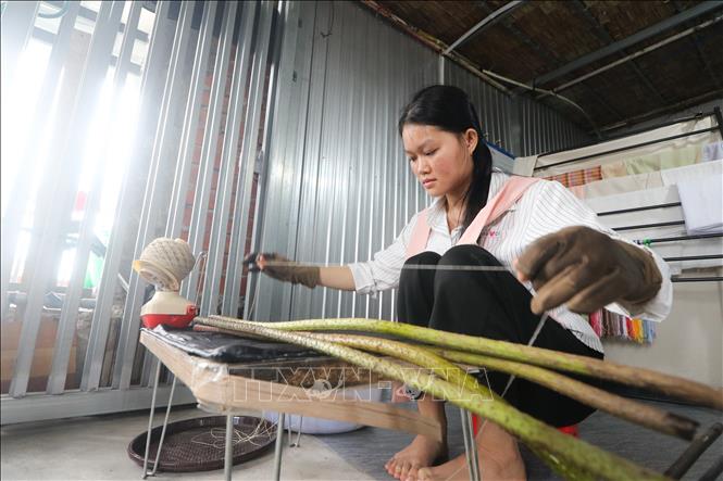 Thân sen được tận dụng để tạo nên nguồn nguyên liệu cho lụa tơ sen. Ảnh: Hồng Thái - TTXVN