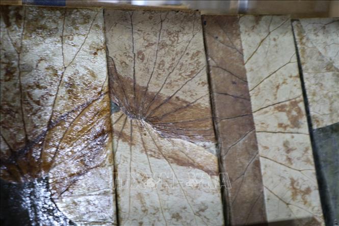 Từ nguyên liệu quen thuộc của vùng đất sen hồng, sản phẩm sen được phát triển theo hướng quà tặng và thời trang. Ảnh: Hồng Thái - TTXVN