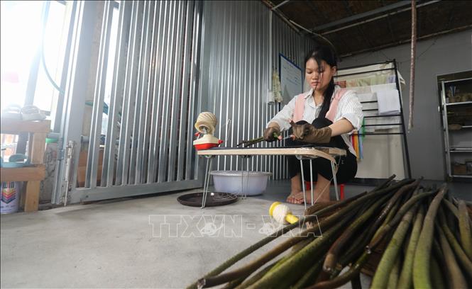 Từ những cánh đồng sen Đồng Tháp, một ý tưởng khởi nghiệp đã mở ra hướng đi mới cho cây sen. Ảnh: Hồng Thái - TTXVN