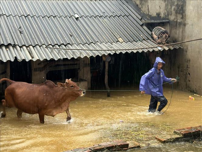 Gia đình ông Trịnh Chí Thuận thôn 1 Thạch Định (xã Kim Tân) thức trắng đêm để chạy lụt. Ảnh: Hoa Mai - TTXVN