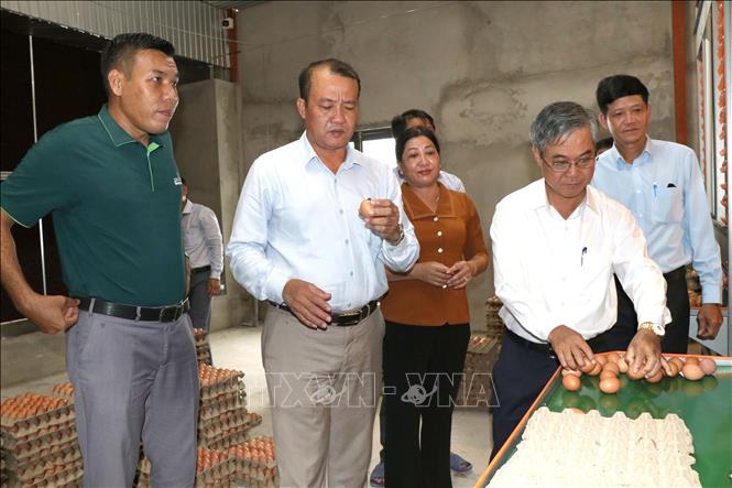 Lãnh đạo UBND tỉnh và Sở Nông nghiệp và Môi trường tỉnh Vĩnh Long cùng chính quyền địa phương khảo sát mô hình nuôi gà đẻ trứng của Công ty TNHH Chăn nuôi Công nghệ cao 168 ở xã Tam Ngãi. Ảnh: Thanh Hòa - TTXVN