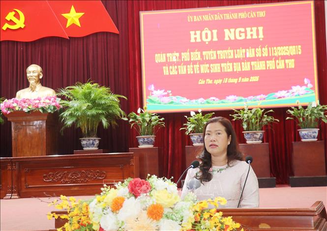Phó Chủ tịch UBND, Trưởng ban Chỉ đạo Dân số và Phát triển TP Cần Thơ Nguyễn Thị Ngọc Điệp phát biểu tại hội nghị. Ảnh: Ngọc Thiện - TTXVN