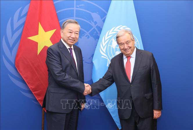 Nhân dịp tham dự Đại hội đồng Liên hợp quốc Khóa 79 và làm việc tại Hoa Kỳ, chiều 24/9/2024, giờ địa phương (sáng 25/9, giờ Việt Nam), tại thành phố New York, Tổng Bí thư, Chủ tịch nước Tô Lâm gặp Tổng thư ký Liên hợp quốc Antonio Guterres. Ảnh: Lâm Khánh - TTXVN