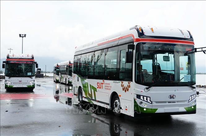 Lô xe ô tô buýt thuần điện của Kim Long Motor tập kết ở cảng Chân Mây, thành phố Huế, để xuất khẩu sang Thái Lan. Ảnh: Nguyên Lý - TTXVN