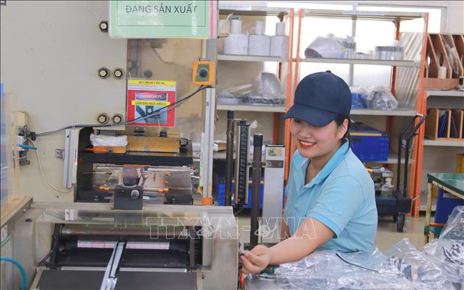 Người lao động tại Công ty TNHH Kansai Felt (Việt Nam) được hưởng nhiều chế độ phúc lợi ưu việt. Ảnh: Minh Thu - TTXVN