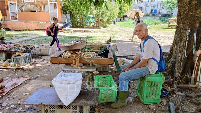 Một quầy bán rau củ quả tại thủ đô La Habana, Cuba. Ảnh: Phi Hùng - PV TTXVN tại Mỹ Latinh