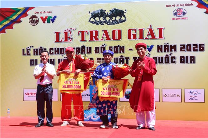 Trao giải Ba cho chủ trâu số 05 và trâu số 23. Ảnh: Mạnh Minh - TTXVN