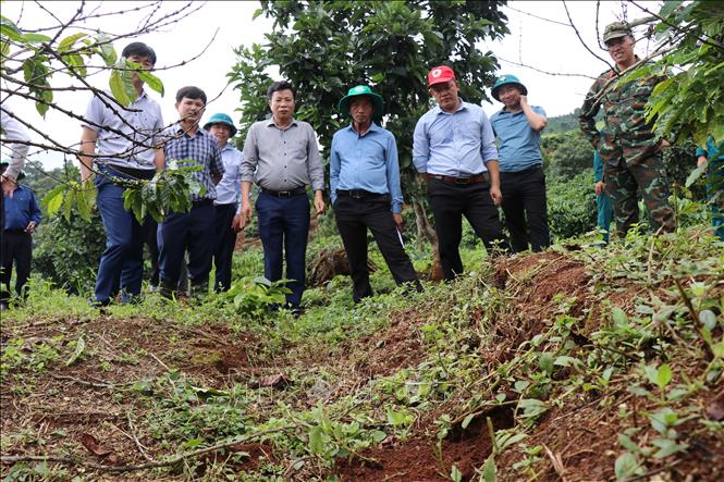 Lãnh đạo tỉnh Lâm Đồng kiểm tra thực tế khu vực sụt lún tại thôn Đắk Snao, xã Quảng Sơn. Ảnh: Nguyễn Huy Thành – TTXVN