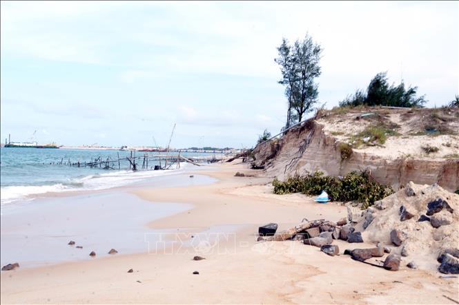 Tình trạng sạt lở bờ biển, xâm thực trở nên nghiêm trọng trong hai năm trở lại đây. Ảnh: Tá Chuyên - TTXVN