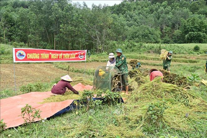 Lực lượng Đồn Biên phòng Cửa khẩu A Đớt hỗ trợ người dân khó khăn xã A Lưới 4 thu hoạch lúa. Ảnh: Mai Trang - TTXVN 