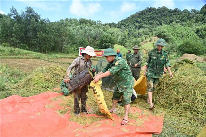 Lực lượng Đồn Biên phòng Cửa khẩu A Đớt hỗ trợ người dân khó khăn xã A Lưới 4 thu hoạch lúa. Ảnh: Mai Trang - TTXVN 