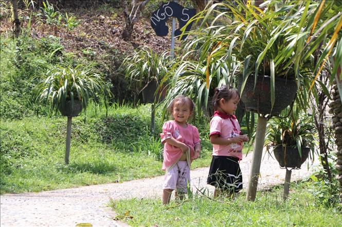Hai em bé người Mông ở bản Lao Chải 1, xã Khun Há (tỉnh Lai Châu). Ảnh: Việt Dũng - TTXVN