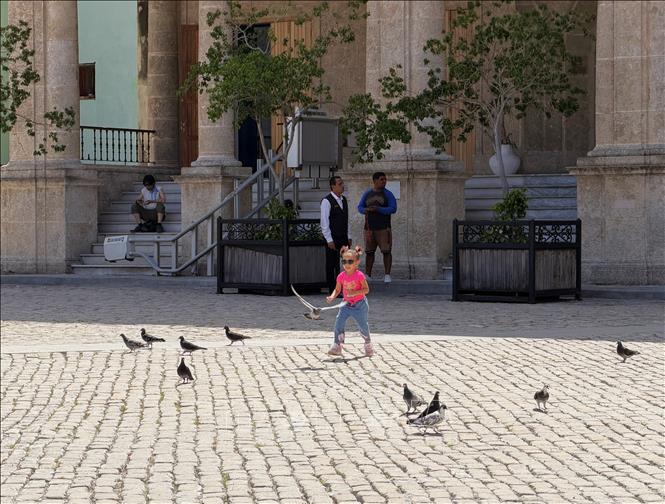 Em nhỏ thích thú đuổi theo những chú bồ câu trên Quảng trường Chim bồ câu ở La Habana. Ảnh: Ngọc Duy - PV TTXVN tại Cuba