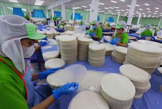 Công ty TNHH sản xuất, chế biến nông sản xuất khẩu Thuận Phong, khu công nghiệp Mỹ Tho, thành phố Mỹ Tho (Tiền Giang) xuất khẩu sản phẩm bánh tráng, bún, phở sang nhiều thị trường trong đó có Canada. Ảnh: Vũ Sinh – TTXVN