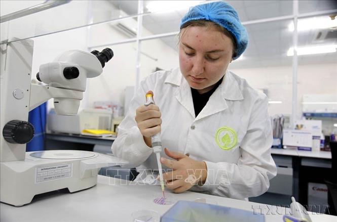 Học viên cao học Tijana Polich (quốc tịch Canada ) học tập nghiên cứu tại Phòng thí nghiệm Công nghệ Sinh học, Trường Đại học Quốc tế, Đại học Quốc gia Thành phố Hồ Chí Minh. Ảnh: Thanh Vũ-TTXVN