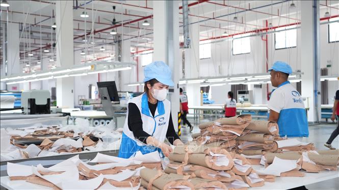 Hoạt động sản xuất tại Công ty Trách nhiệm hữu hạn Công nghệ TENFY (Việt Nam) có vốn đầu tư nước ngoài tại Khu công nghiệp TMTC, xã Bến Cầu, tỉnh Tây Ninh. Ảnh: Minh Phú - TTXVN