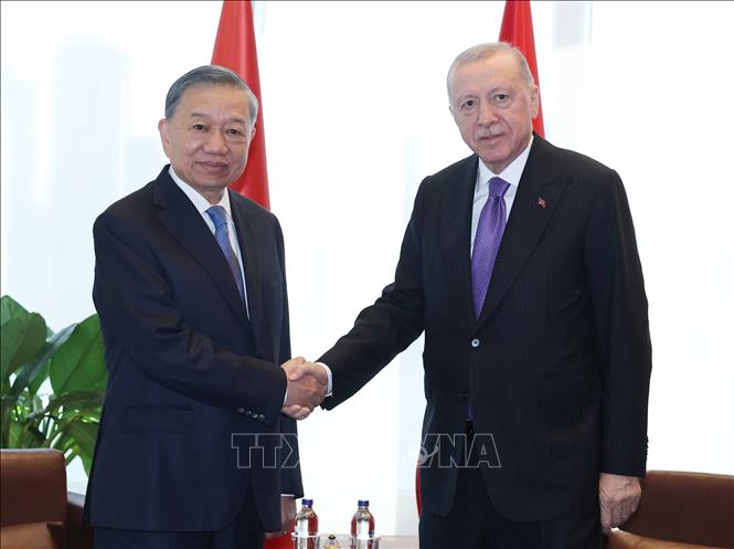 Tổng Bí thư, Chủ tịch nước Tô Lâm gặp Tổng thống Thổ Nhĩ Kỳ Recep Tayyip Erdogan. Ảnh: Thống Nhất – TTXVN