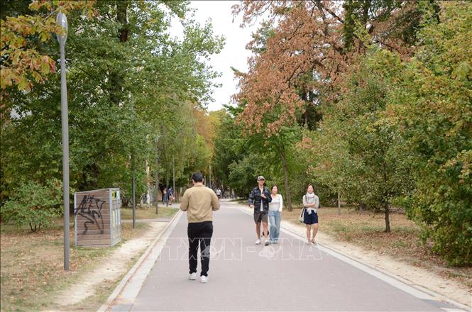 Những con đường rợp bóng cây trong khuôn viên Cư xá Đại học Quốc tế Paris tạo nên không gian xanh, yên tĩnh cho sinh viên, nhà nghiên cứu và khách tham quan. Ảnh: Hữu Chiến - PV TTXVN tại Pháp