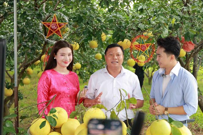 Ông Hoàng Quốc Nhã (giữa), Bí thư Đảng ủy xã Phúc Trạch, tham gia phiên Mega Live bán hàng cùng người dân. Ảnh: Hữu Quyết – TTXVN