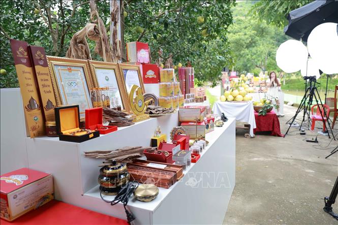 Các sản phẩm OCOP được quảng bá trên nền tảng số giúp người sản xuất có thêm kênh tiêu thụ. Ảnh: Hữu Quyết – TTXVN