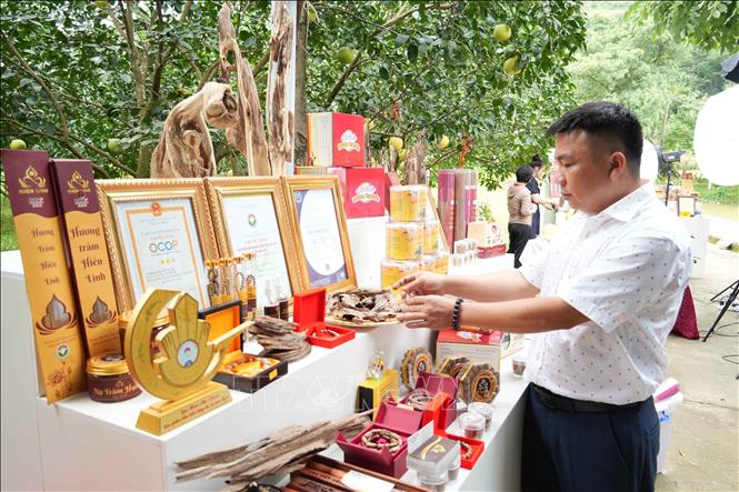 Hợp tác xã trầm hương Hiền Linh (xã Phúc Trạch) hiện có nhiều sản phẩm OCOP. Ảnh: Hữu Quyết – TTXVN