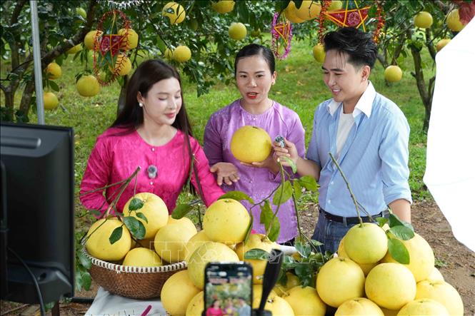 Chị Trần Huyền Ân (giữa), Hợp tác xã Nông nghiệp Choa, xã Phúc Trạch, tham gia livestream bán hàng. Ảnh: Hữu Quyết – TTXVN