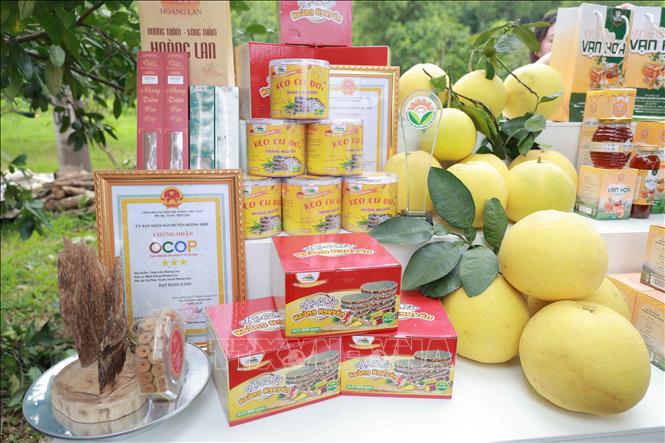 Hà Tĩnh hiện có trên 200 sản phẩm OCOP đạt tiêu chuẩn từ 3-5 sao. Ảnh: Hữu Quyết – TTXVN