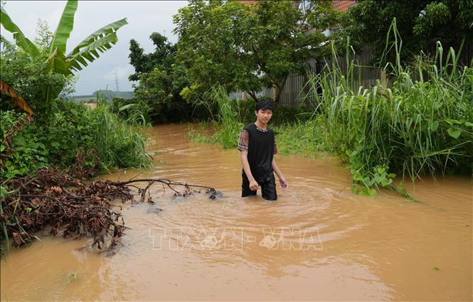 Nước dâng cao gây khó khăn cho cuộc sống, sinh hoạt của người dân thành phố Đồng Nai. Ảnh: Lê Xuân - TTXVN