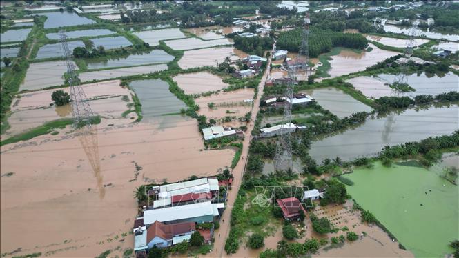 Khu nuôi trồng thủy sản thuộc xã Bình Minh, thành phố Đồng Nai bị nước lũ tràn vào ngập sâu, gây thiệt hại về kinh tế. Ảnh: Lê Xuân - TTXVN