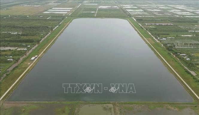 Hồ chứa nước ngọt xã Khánh An có quy mô hơn 100ha, tại xã Khánh An, tỉnh Cà Mau. Ảnh: Tuấn Phi - TTXVN