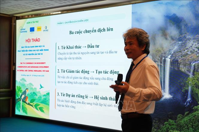 PGS.TS Võ Văn Minh, Hiệu trưởng Trường Đại học Sư phạm (Đại học Đà Nẵng), trình bày tham luận tại Hội thảo. Ảnh: Anh Dũng – TTXVN