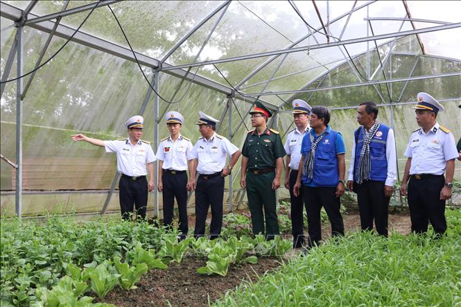 Trồng rau xanh, tăng gia sản xuất giúp cải thiện bữa ăn của cán bộ, chiến sĩ làm nhiệm vụ tại đảo Thổ Chu, Đặc khu Thổ Châu, tỉnh An Giang. Ảnh: Xuân Anh -TTXVN