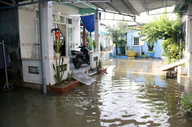 Phường Bình Thuận (Lâm Đồng) bị thiệt hại nặng do mưa lũ, nhiều nhà dân ngập sâu trong nước. Ảnh: Nguyễn Thanh –TTXVN
