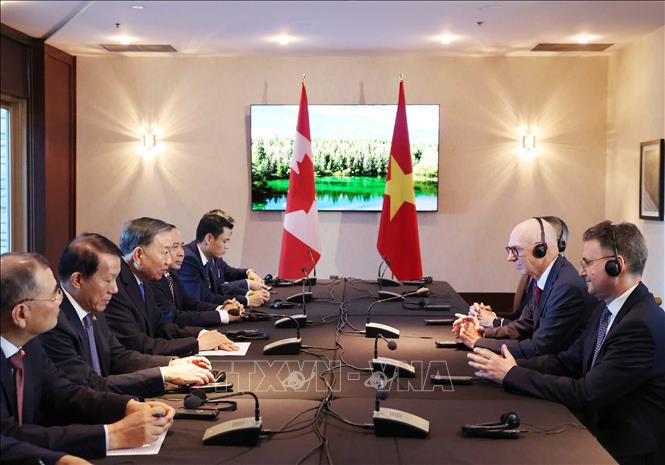 Tổng Bí thư, Chủ tịch nước Tô Lâm tiếp Giáo sư Graham Carr, Hiệu trưởng Trường Đại học Concordia. Ảnh: Thống Nhất – TTXVN