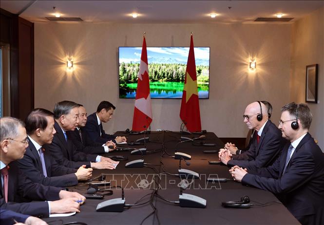 Tổng Bí thư, Chủ tịch nước Tô Lâm tiếp Giáo sư Graham Carr, Hiệu trưởng Trường Đại học Concordia. Ảnh: Thống Nhất – TTXVN