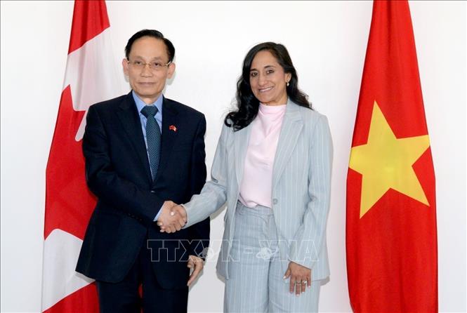 Bộ trưởng Ngoại giao Lê Hoài Trung hội đàm với Bộ trưởng Ngoại giao Canada Anita Anand. Ảnh: TTXVN phát
