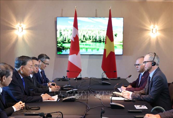 Tổng Bí thư, Chủ tịch nước Tô Lâm tiếp Tổng Bí thư Đảng Cộng sản Canada Drew Garvie. Ảnh: Thống Nhất – TTXVN