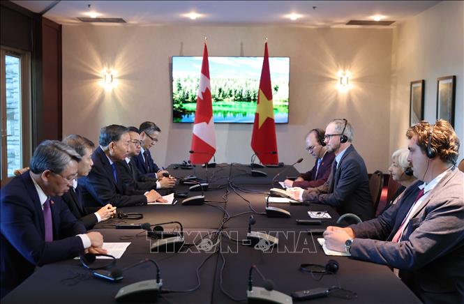 Tổng Bí thư, Chủ tịch nước Tô Lâm tiếp Tổng Bí thư Đảng Cộng sản Canada Drew Garvie. Ảnh: Thống Nhất – TTXVN