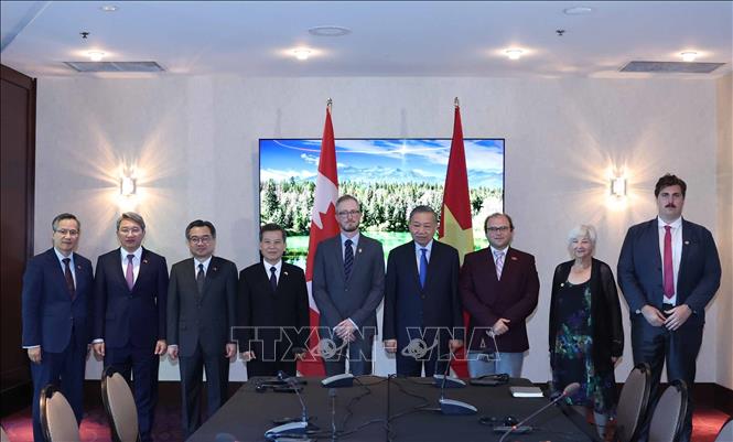 Tổng Bí thư, Chủ tịch nước Tô Lâm tiếp Tổng Bí thư Đảng Cộng sản Canada Drew Garvie. Ảnh: Thống Nhất – TTXVN