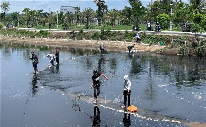 Người dân đổ xô đi câu bắt cá tại Hồ điều hòa Hồ Sơn bất chấp cảnh báo cấm của chính quyền. Ảnh: Tường Quân - TTXVN
