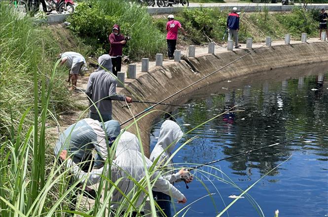 Nhiều người dân đến câu cá tại Hồ điều hòa Hồ Sơn dù nguy cơ ô nhiễm nguồn nước.Ảnh: Tường Quân - TTXVN