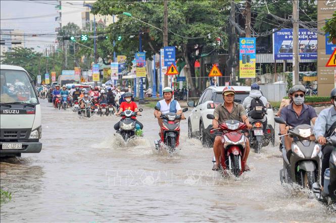 Đường Cách Mạng Tháng Tám thường xuyên bị ngập mỗi khi triều cường lên cao. Ảnh: Thanh Liêm - TTXVN