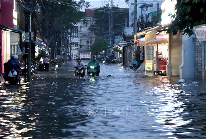 Mưa lớn kết hợp với triều cường gây ngập trên tuyến đường Nguyễn Thái Học ở Phường Long Châu, tỉnh Vĩnh Long . Ảnh: Lê Thúy Hằng – TTXVN 
